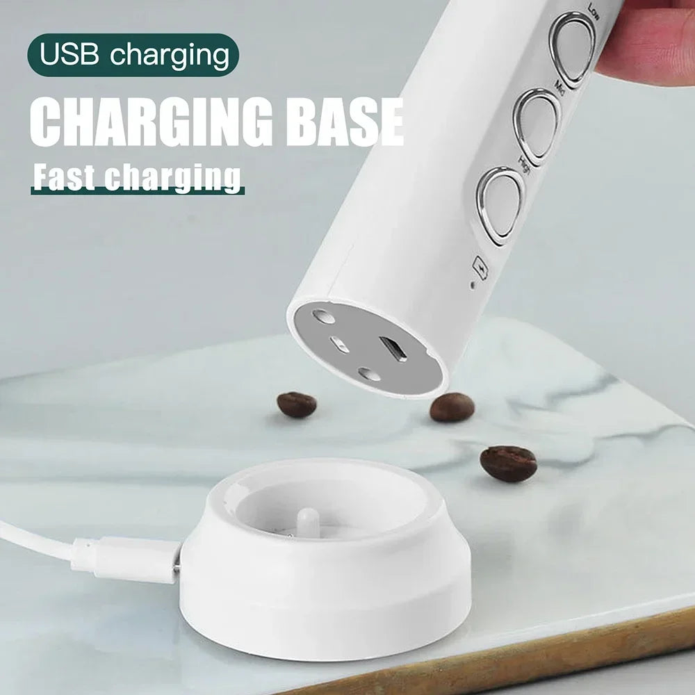 Stonego USB Rechargeable Electric Milk Frother
