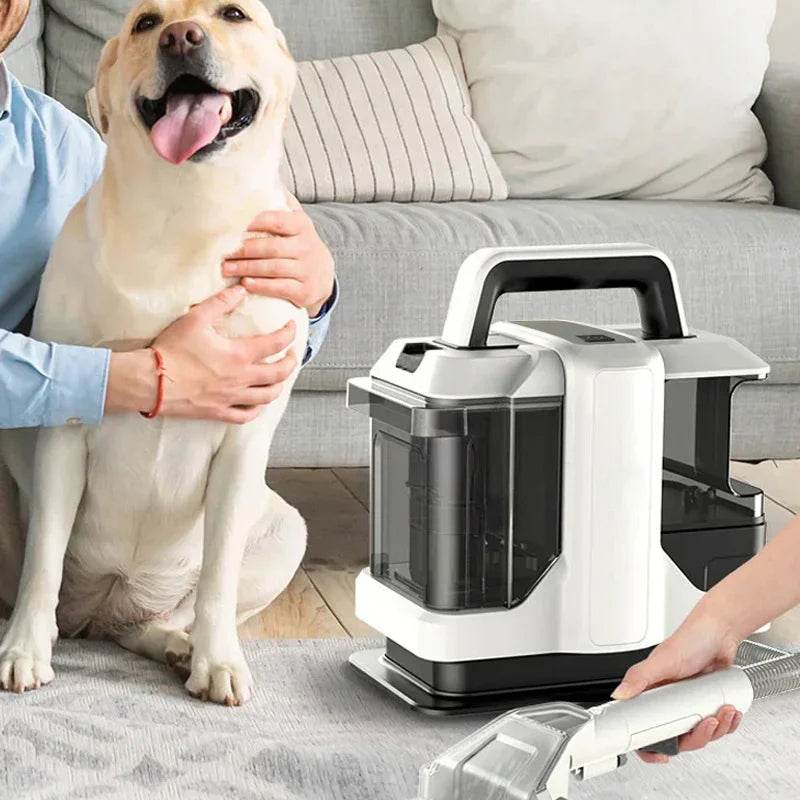 Balashov Portable Steam Cleaner For Carpets And Upholstery
