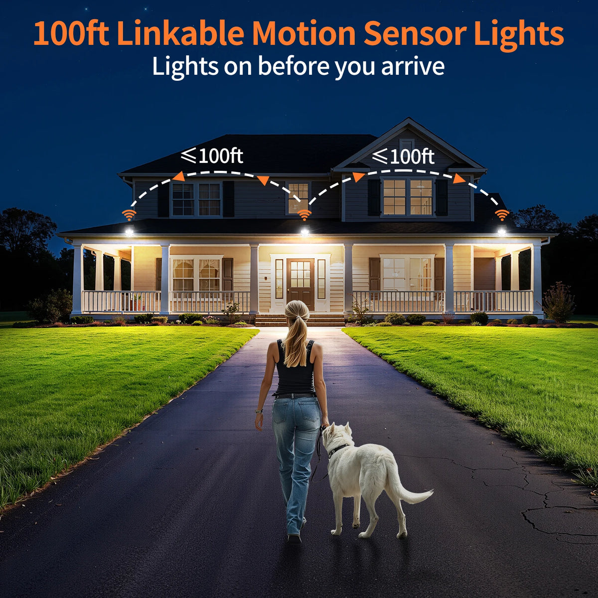 Intelamp Solar Motion Sensor Security Flood Light