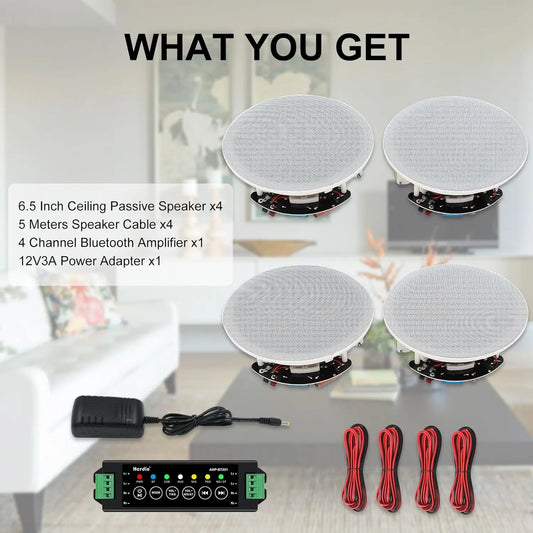 Herdio 600W Bluetooth Ceiling Speakers Two Way Dome Tweeter
